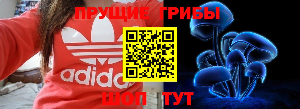 Галлюциногенные грибы Psilocybine cubensis  Вход с VPN  Пермь 