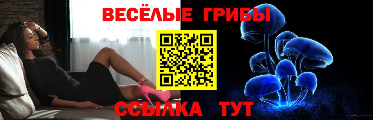 Псилоцибиновые грибы Psilocybe Пермь
